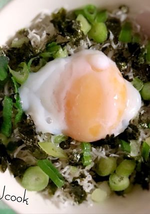 ～簡単しらす丼～-レシピのメイン写真
