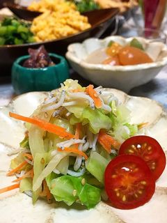 キャベツとしらすの和え物-レシピのメイン写真