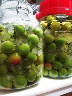 梅酢-レシピのメイン写真