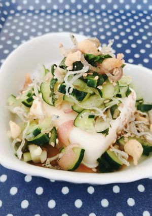 胡瓜、みょうが、しその浅漬けで具沢山冷奴-レシピのメイン写真