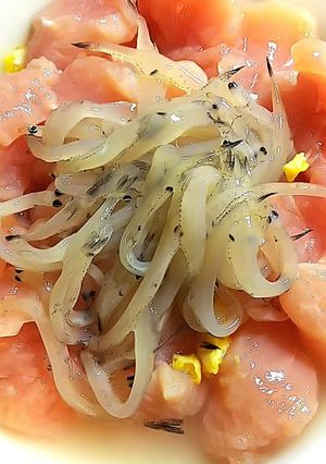 愛莉のごはん 猫めし ささみ白魚-レシピのメイン写真