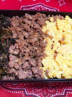 簡単時短定番そぼろ弁当-レシピのメイン写真