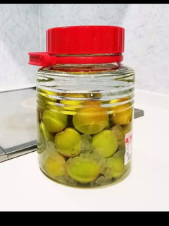 梅酒の作り方(漬け始めと出来上がり)-レシピのメイン写真