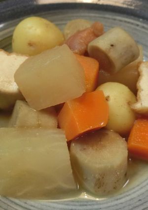 大根・人参・厚揚げのゴロゴロ梅煮-レシピのメイン写真
