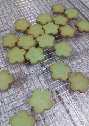 ほろ苦お茶クッキー-レシピのメイン写真