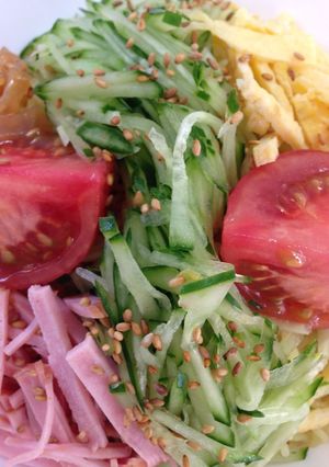 野菜たっぷり冷やし中華-レシピのメイン写真