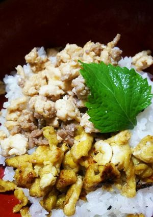 早くて簡単！鶏そぼろ丼-レシピのメイン写真