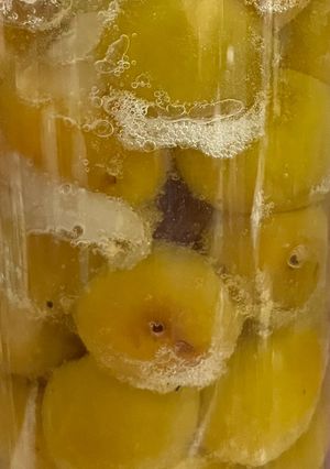 祖母の梅シロップ、簡易、節約バージョン-レシピのメイン写真