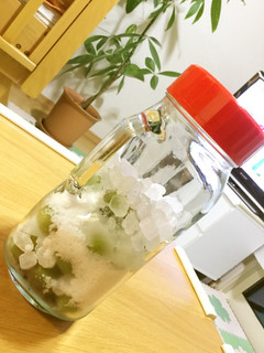 少量でできる梅シロップ-レシピのメイン写真