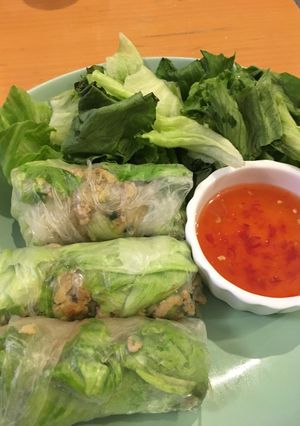 餃子生春巻き☆-レシピのメイン写真