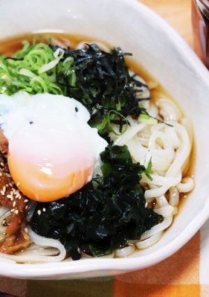 温でも冷でも美味しい♪ぶっかけうどん-レシピのメイン写真