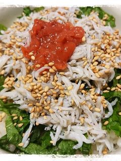 1人ご飯☆さっぱり梅しそしらす丼-レシピのメイン写真
