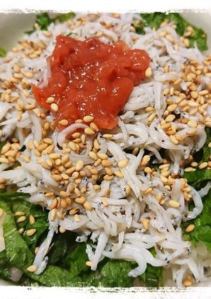 １人ご飯☆さっぱり梅しそしらす丼-レシピのメイン写真