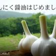 にんにく醤油
