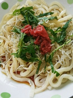 さっぱり!梅ぶっかけうどん-レシピのメイン写真