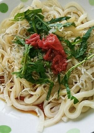 さっぱり！梅ぶっかけうどん-レシピのメイン写真