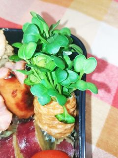 超簡単!!お弁当に☆かいわれのちくわ巻き-レシピのメイン写真