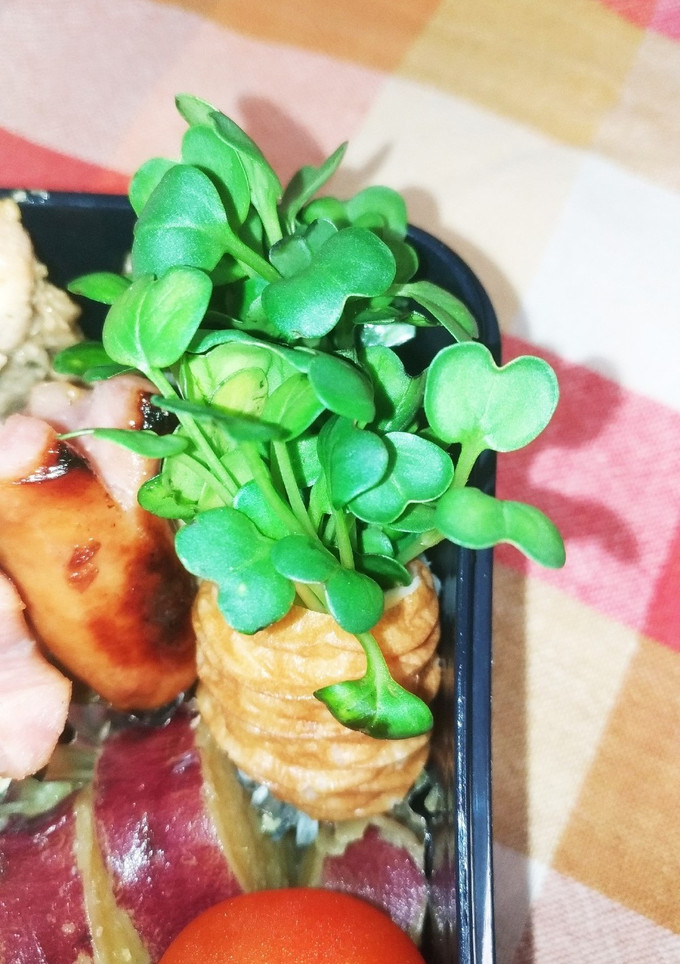 超簡単!!お弁当に☆かいわれのちくわ巻き-レシピのメイン写真