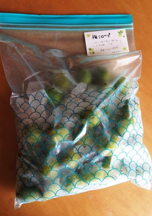 梅シロップ-レシピのメイン写真
