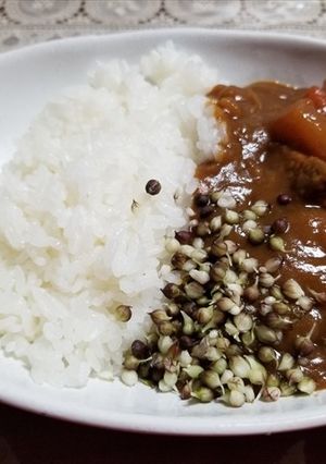 ノビルのムカゴをカレーライスにトッピング-レシピのメイン写真