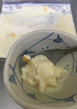 簡単☆豆乳ヨーグルトアイス マーマレード-レシピのメイン写真
