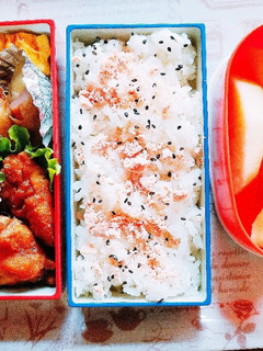 女子高生のお弁当 13-レシピのメイン写真