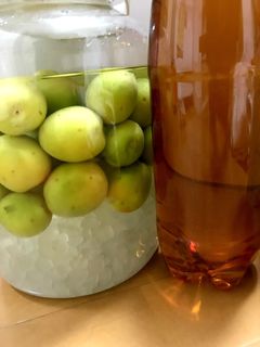 【備忘録】日本酒で漬ける梅酒-レシピのメイン写真
