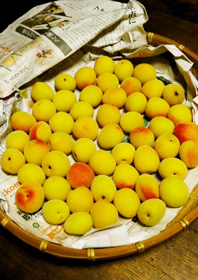 梅干しを柔らかく仕上げるための梅の追熟-レシピのメイン写真