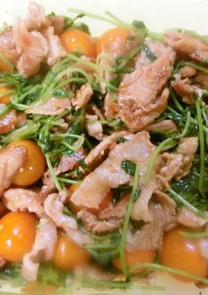 豆苗、トマトと豚肉の柚子トマトソース和え-レシピのメイン写真