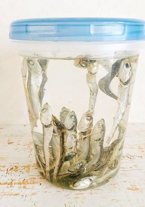 だしソムリエ直伝【煮干し水だし】の取り方-レシピのメイン写真