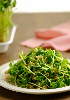 豆苗サラダ塩みかん風味-レシピのメイン写真