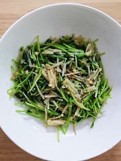 豆苗とえのきのシンプル炒め-レシピのメイン写真
