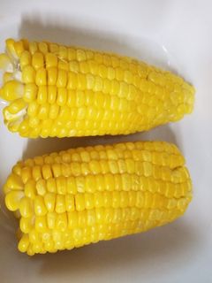 グルラボで茹でとうもろこし-レシピのメイン写真
