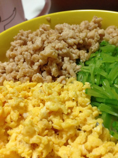 食欲もりもり!かんたん三食丼-レシピのメイン写真