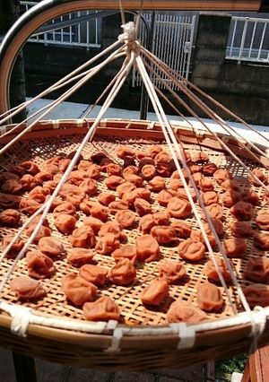 完熟梅の減塩梅干し-レシピのメイン写真