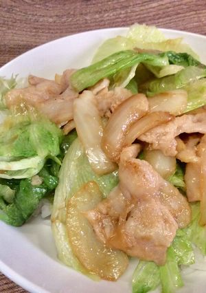 豚と玉ねぎとレタスの5分で丼ぶり-レシピのメイン写真