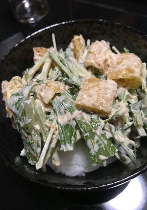サクサクカリカリ〜水菜と揚げのサラダ丼-レシピのメイン写真