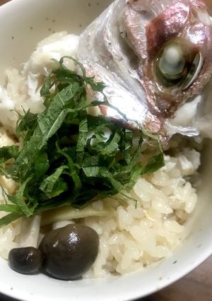 炊飯器で簡単 鯛めし-レシピのメイン写真