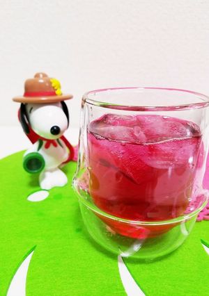 赤紫蘇ジュース-レシピのメイン写真