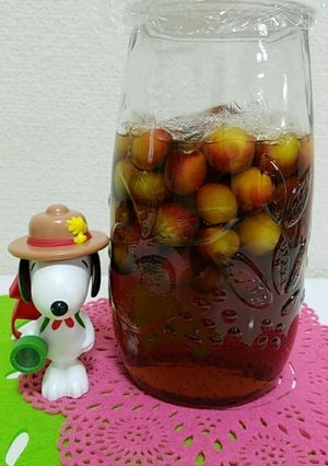 梅の蜂蜜漬け　ドリンク-レシピのメイン写真