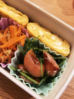 お弁当に豆苗とウインナーの簡単炒め-レシピのメイン写真