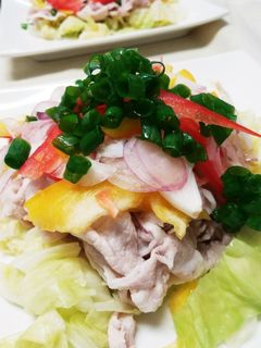 ☆野菜たっぷり冷しゃぶ☆-レシピのメイン写真
