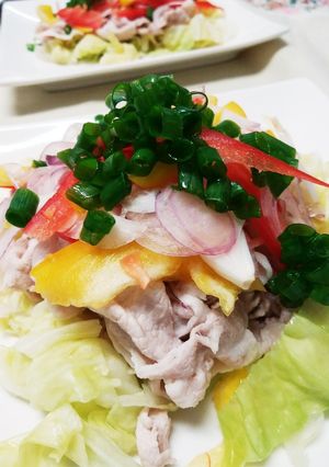☆野菜たっぷり冷しゃぶ☆-レシピのメイン写真