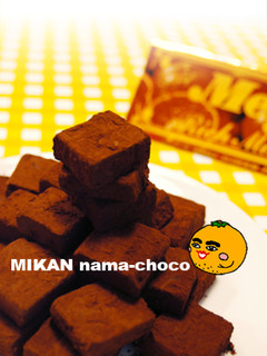 【明治リッチみかん】でフルーティ生チョコ-レシピのメイン写真
