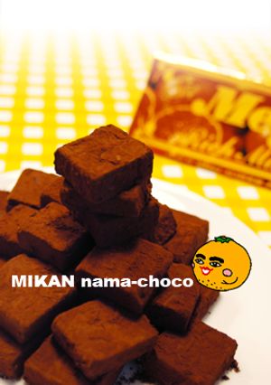 【明治リッチみかん】でフルーティ生チョコ-レシピのメイン写真