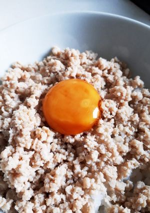 簡単　箸が止まらないふっくら鶏のそぼろ丼-レシピのメイン写真