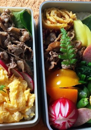 男子中学生2年弁当 カルビ弁当 初投稿-レシピのメイン写真