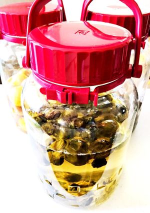 炊飯器で簡単梅シロップ(*´꒳`*)-レシピのメイン写真