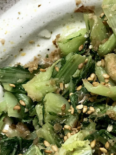しろ菜の胡麻和え-レシピのメイン写真