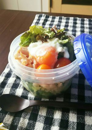 シャカシャカサラダのお弁当-レシピのメイン写真